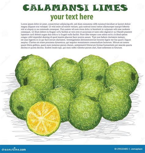 asin clipart|Calamansi Images – Browse 3,816 Stock Photos, Vectors, and .
